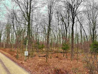 Lot 61 Chip n Dale Dr, Pickerel, WI 54465