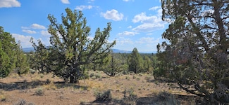 0 SE Sycamore Ln Unit 220206344, Prineville, OR 97754