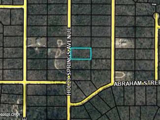 0000 Holly Springs Ave, Alford, FL 32420