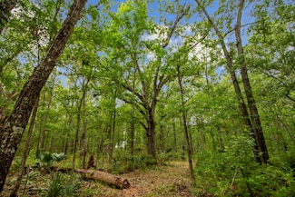 4848 Woodville Rd, Awendaw, SC 29429