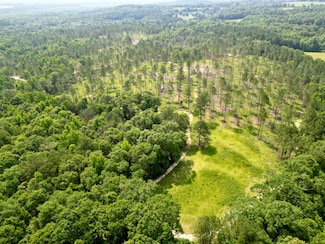 0 County Road 6650, Brundidge, AL 36006