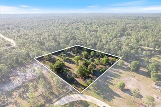 5555 N Muslin Terrace, Dunnellon, FL 34433
