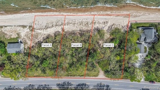 00 Port Austin Rd Parcel B, Lake Township, MI 48725