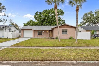 7234 Riverwood Blvd, Tampa, FL 33615