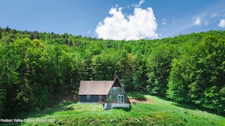 670 Hog Mountain Cir, Margaretville, NY 12455