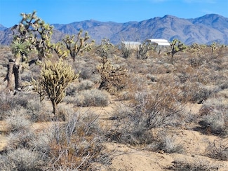 16858 S Butch Cassidy Rd, Yucca, AZ 86438