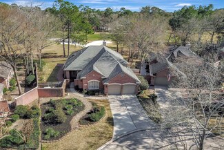 10 Crownberry Ct, Spring, TX 77381