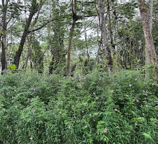 0 Ala Ohia St Unit 722682, Volcano, HI 96785