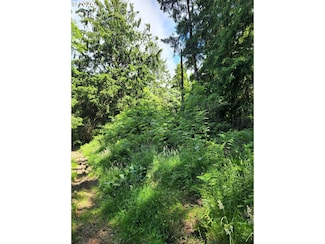 0 NE Necarney St, Rockawaybeach, OR 97136