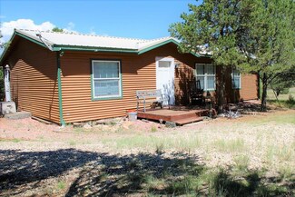 1576 I Path, Cotopaxi, CO 81223