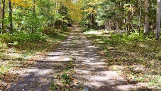 TBD5.3 Salmon Rd, L'Anse, MI 49946