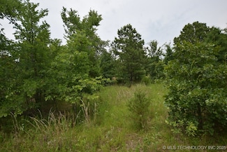 1 S 4503 Rd, Vian, OK 74962