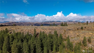 0 Way, Omak, WA 98841