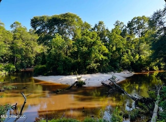 0 W Union Rd, Carriere, MS 39426