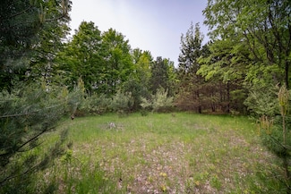 0 Covey Rd, Beulah, MI 49617