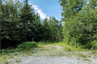 00 Turtle Hill Rd, Ludlow, VT 05149