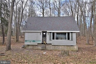 157 Omaha Trail, Pocono Lake, PA 18347