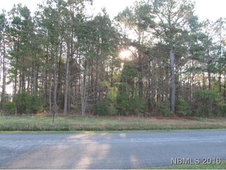 0 Don Lee Unit 90102975, Arapahoe, NC 28510