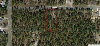 1806-005-020 Mango Ln, Dunnellon, FL 34431