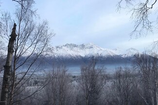 21379 E Feltman Ct, Knik River, AK 99645