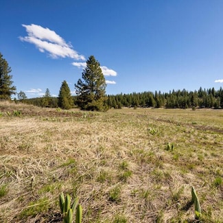 Lot 37 To Be Determined Unit 37, McCall, ID 83638