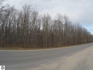 0 Bronson Lake Rd Unit 1813796, Lake Ann, MI 49650