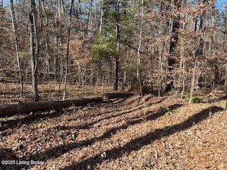 L32 Ted Logsdon Rd, Clarkson, KY 42726