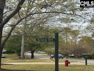 703 Cove Trail, Chapin, SC 29036