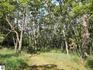 0 N 19 Rd Unit 1837661, Mesick, MI 49668