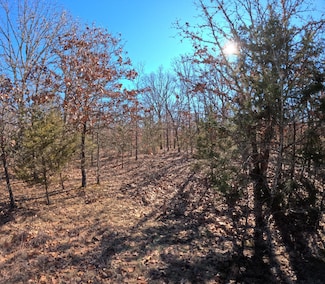 Tract R Greatview Ln, Spring Hollow Township, MO 65536