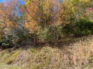 0 Pin Oak Dr, Rockwood, TN 37854