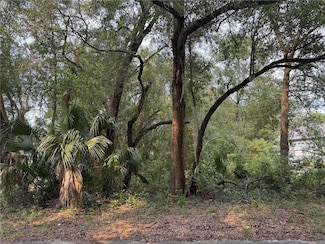 0 Strawberry Ave Unit MFRO6346127, Sorrento, FL 32776