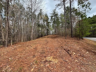 323 Long Cove Trail, Salem, SC 29676