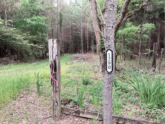 1290 Guy Branch Rd, Cottonwood, AL 36320