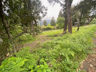 352 Tree Top Ln, Willow Creek, CA 95573