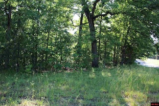 Lot 1 Hwy 14 N, Yellville, AR 72687