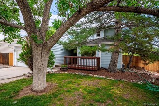 7294 S Sheephorn Mountain, Littleton, CO 80127