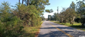 0 Academy Dr Unit 2320139, Conway, SC 29526
