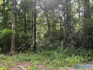 6.7 Leslie Willis Rd, Somerville, AL 35670