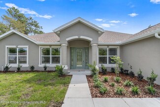 11195 Lomita Wren Rd, Weeki Wachee, FL 34614
