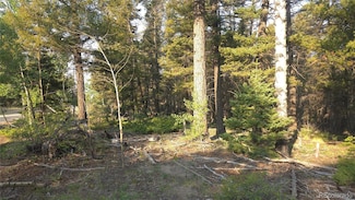 Lot 5768 Clawson Rd, Fort Garland, CO 81133