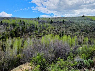 1 Sleight Canyon Rd Unit 1, Paris, ID 83261