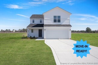 168 Buggy Top (Lot 24) Ln, Autryville, NC 28318