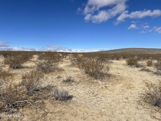 55 Piedmont, California City, CA 93504