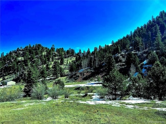 0 Cr 1 Unit REC5851414, Cripple Creek, CO 80813