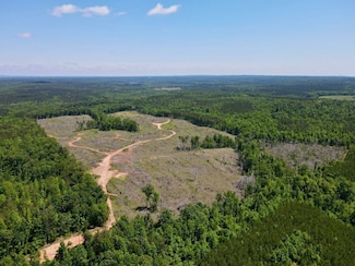 0 County Road 967, Wadley, AL 36276