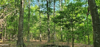 0 Highway 57 Unit Lot 2-A 178255, Macon, GA 31217
