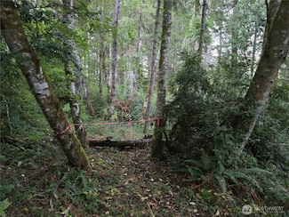 12727 96th Street Ct, Anderson Island, WA 98303