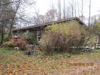 1928 E 100th St, Grant, MI 49327