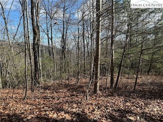 30 Austin Valley Dr, Lenoir, NC 28645